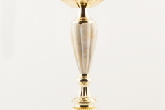 000_Campionato_Italiano_Serie_B_2011_-_PRIMA_CLASSIFICATA